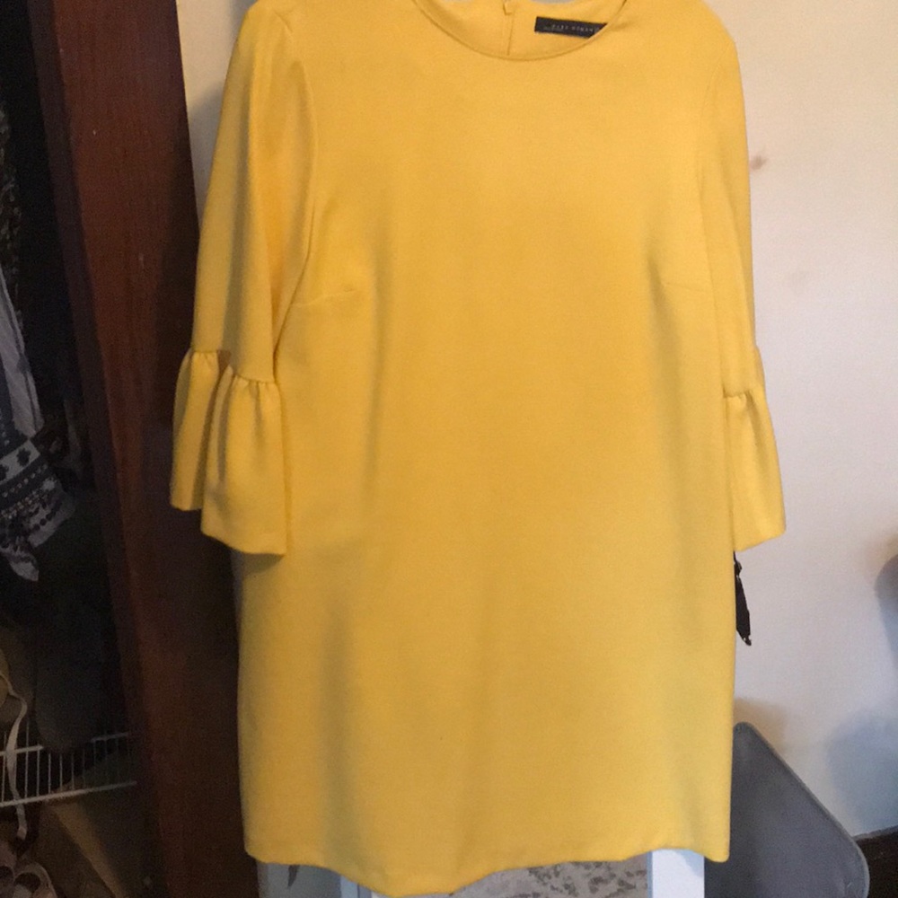 Zara shift dress